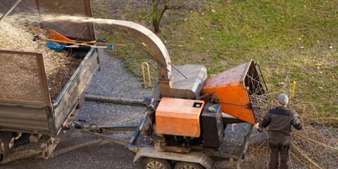 Stump Grinding La Vergne